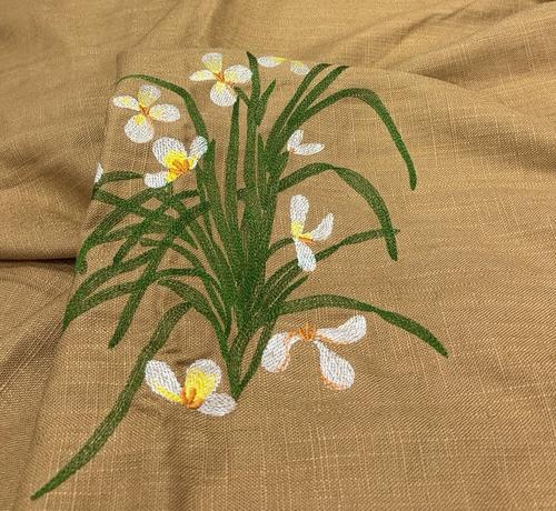 汉麻在传统医学中的应用历史：从古代药典到现代科学验证